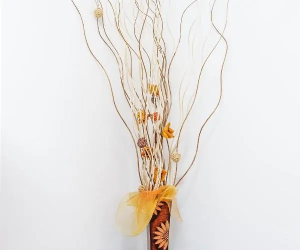 2274d Apartman Medulin